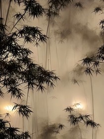 反派師弟和他的男二師尊