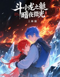 斗龍之暗夜微光