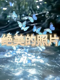 絕美的照片