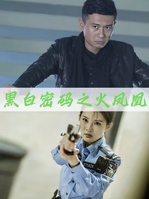 黑白密码之火凤凰