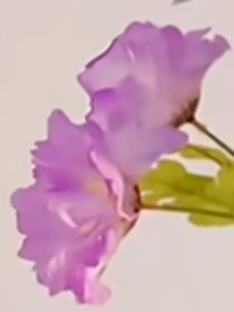 ALL岳岳