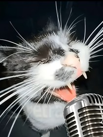 灵感爆发时的短篇CP