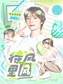 韩娱：待风里风