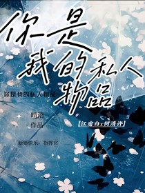 你是我的私人物品