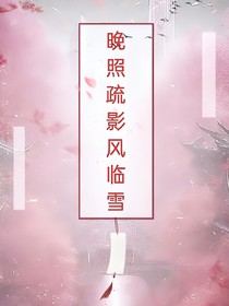 晚照疏影风临雪