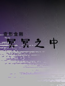 变形金刚：冥冥之中