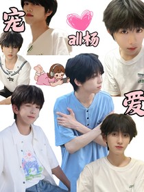 all杨宠爱