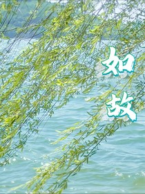 心计皇朝