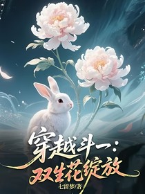穿越斗一：雙生花綻放