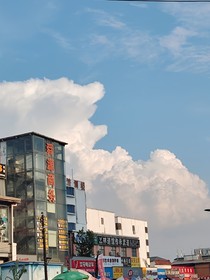 聊齋蘭若寺之畫(huà)皮妖x陳氏