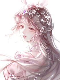 鸾风柔兔