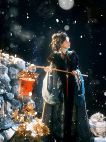 朝雪录：孤雁难飞