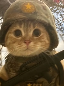 士兵突擊：居然都是給？！