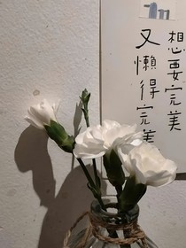綜影視：心上寵