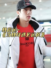 当林叶遇见远风
