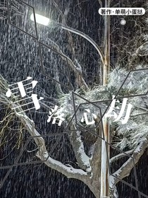 雪落心劫