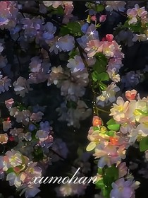 雾吻海W