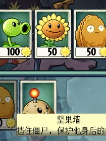 植物大战僵尸国运之旅