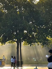 你给我的何止是拥抱