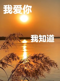 因為遇見你，所以我愛你