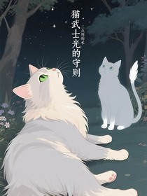 貓武士：光的守則