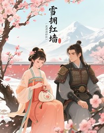 雪擁紅墻
