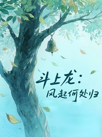 斗龙：风起何处归