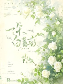 一朵白蔷薇