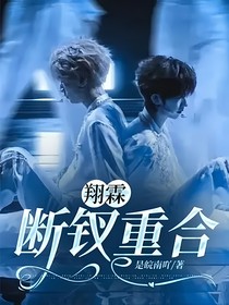 翔霖：斷釵重合