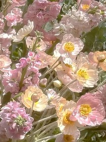 斬神：轉(zhuǎn)世投胎后，某神只想當(dāng)小透明