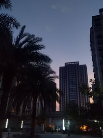 落鳶許卿