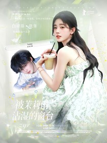 TF家族：被茉莉雨沾濕的窗臺(tái)