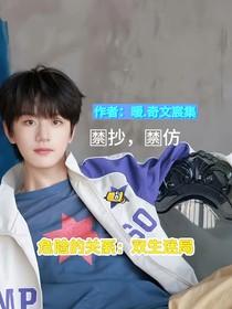 危險的關(guān)系：雙生迷劇