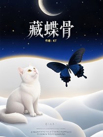 藏蝶骨