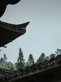 我的同事對我圖謀不軌