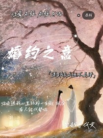 婚約之意（穿書）