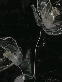 不要翻開最后一頁