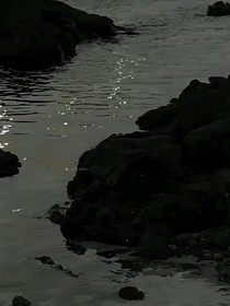 凌晨三點(diǎn)的游戲規(guī)則