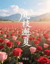 風(fēng)枝邂夏