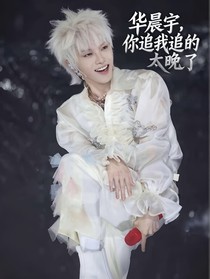 華晨宇，你追我追的太晚了