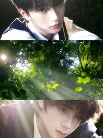 TF家族：少男心事（櫓穆）