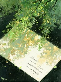 那年夏天的信