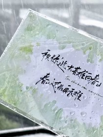 南方无雪，北方有你
