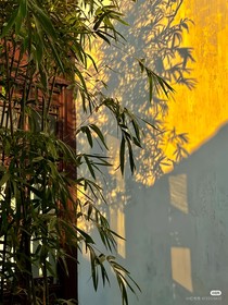 TNT：穿越古代到小寡妇