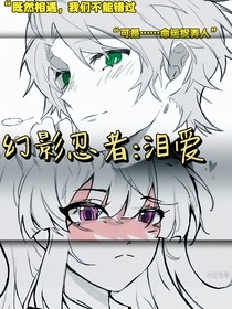 幻影忍者：淚愛(ài)