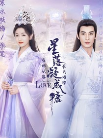 星落：重生之在天璀璨在地从容