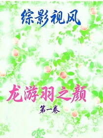 綜影視：風(fēng)