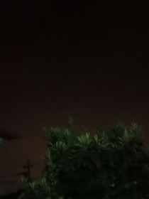 勿忘庸離
