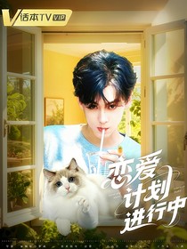 全明星：恋爱计划进行中
