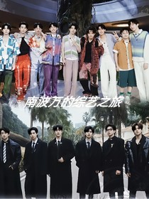 南波萬的綜藝之旅